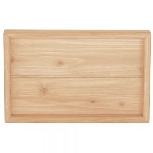 f10/10.5tray_plain