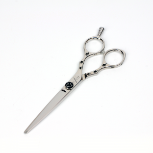 scissor_as6.0
