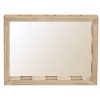 f21/22mirror