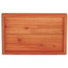 f10/10.5tray