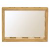 f21/22mirror